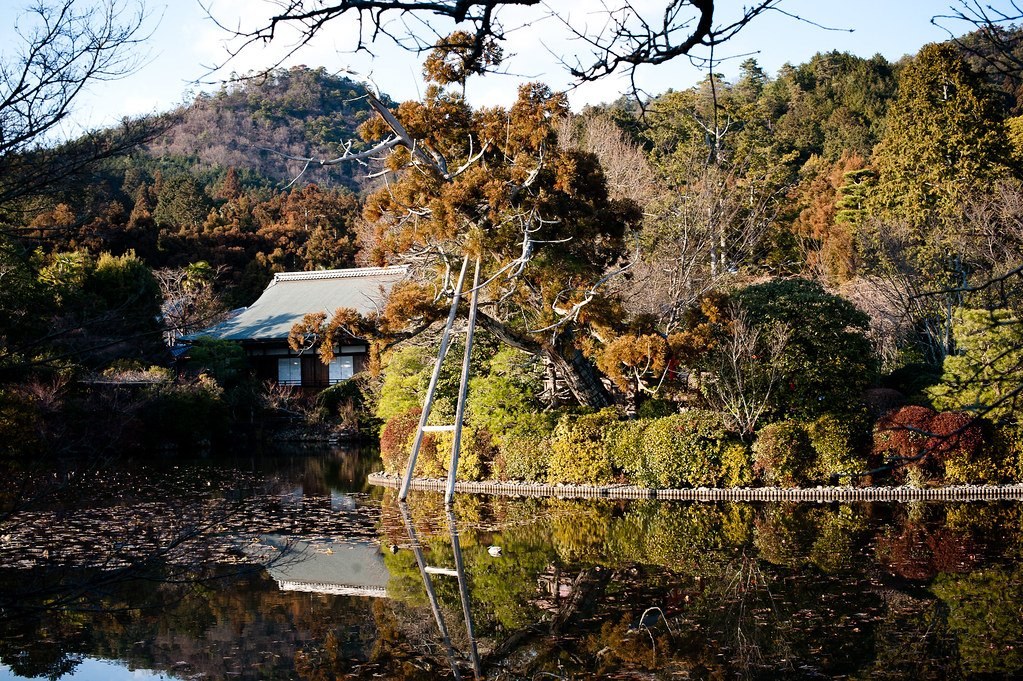 7-Day Japan Itinerary for First-Timers